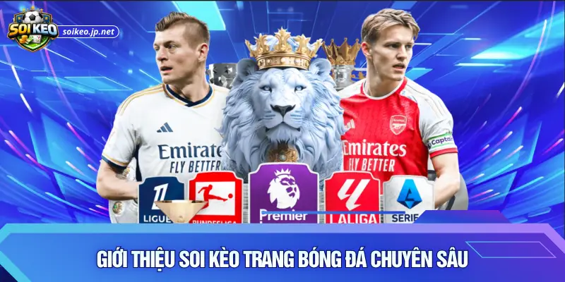 Giới thiệu soi kèo trang bóng đá chuyên sâu