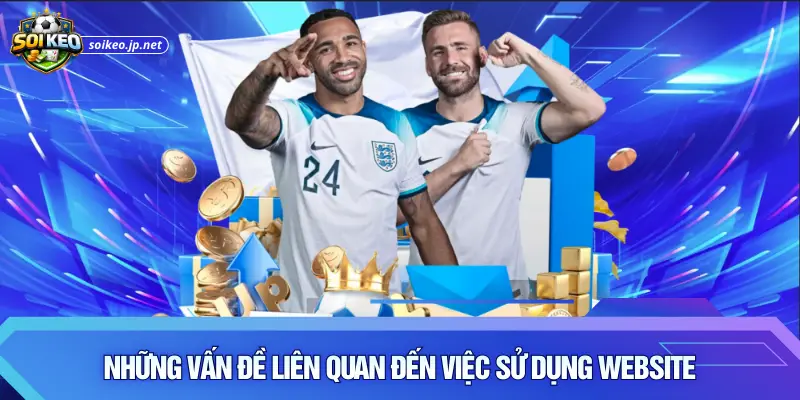 Những vấn đề liên quan đến việc sử dụng website