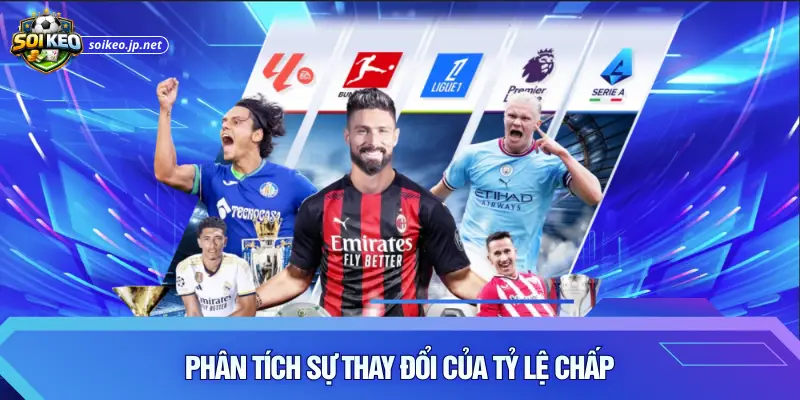 Phân tích sự thay đổi của tỷ lệ chấp