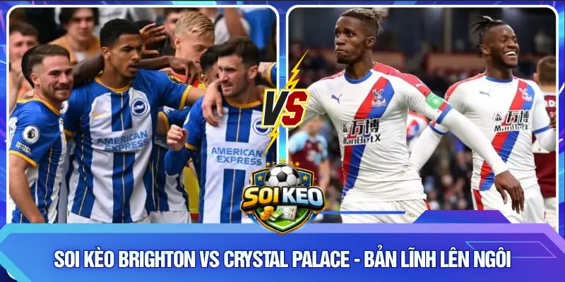 Soi Kèo Brighton vs Crystal Palace - Bản Lĩnh Lên Ngôi