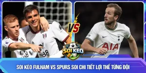 Soi kèo Fulham vs Spurs