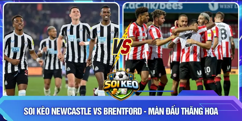 Soi kèo Newcastle vs Brentford