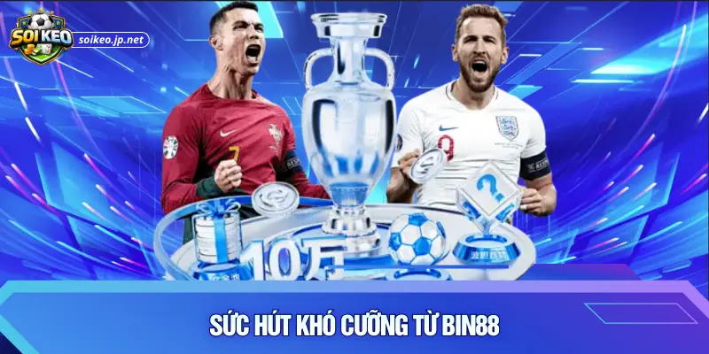 Sức hút khó cưỡng từ Bin88
